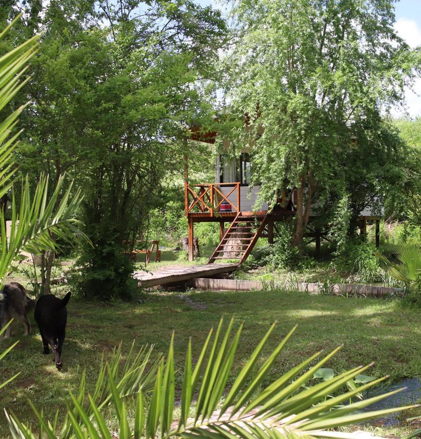 Viva La Pepa Cabanas Al Rio. Villa Тигре Екстериор снимка