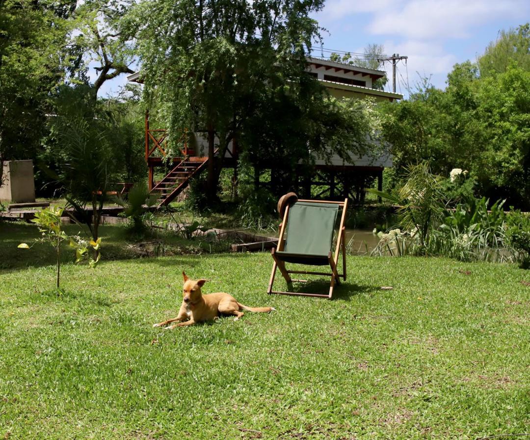 Viva La Pepa Cabanas Al Rio. Villa Тигре Екстериор снимка